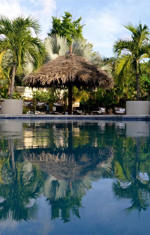 Bananas Apartments Adults Only Palm Beach Eksteriør bilde