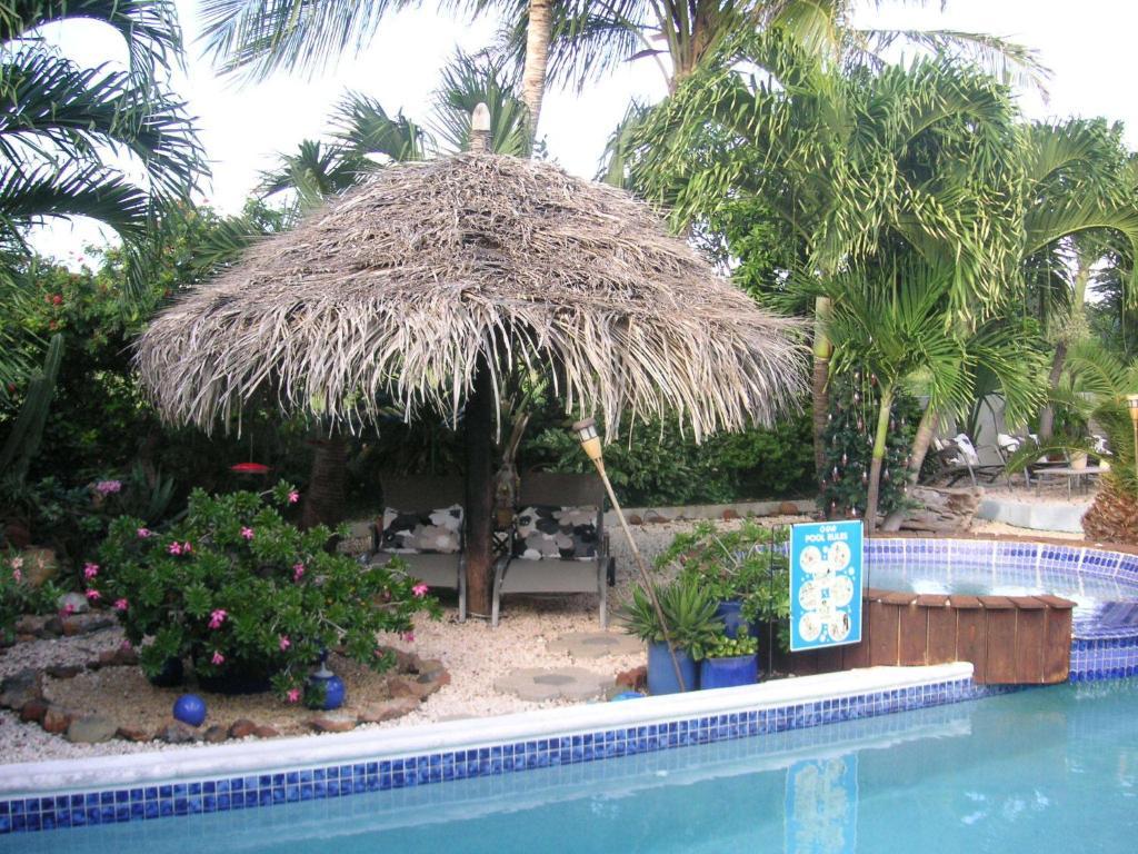 Bananas Apartments Adults Only Palm Beach Eksteriør bilde