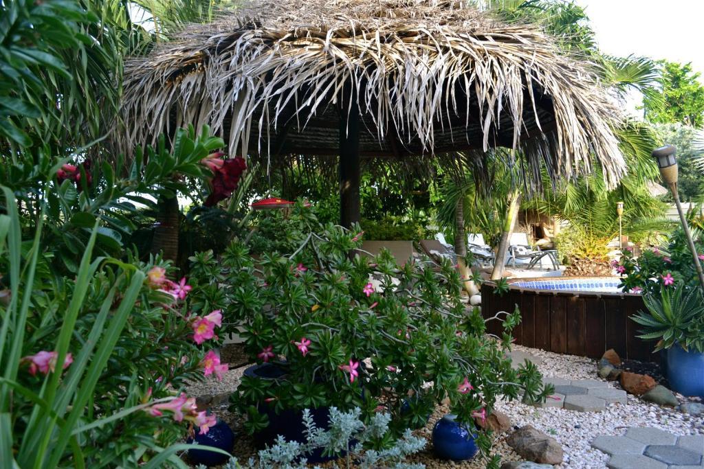 Bananas Apartments Adults Only Palm Beach Eksteriør bilde
