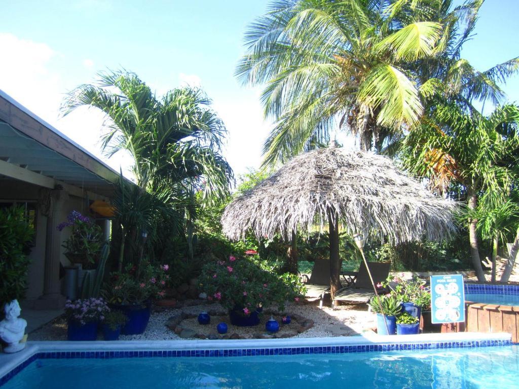 Bananas Apartments Adults Only Palm Beach Eksteriør bilde
