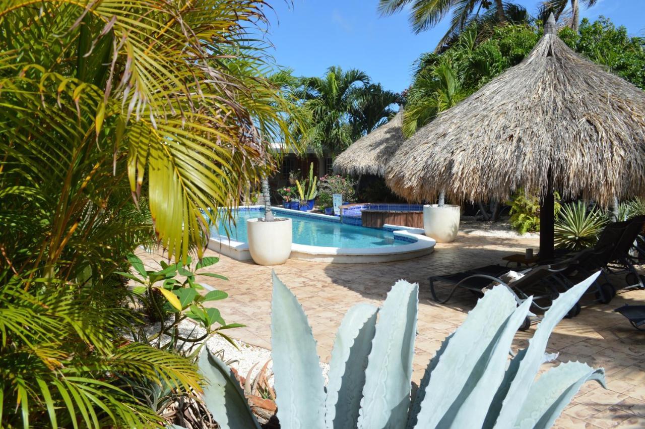 Bananas Apartments Adults Only Palm Beach Eksteriør bilde