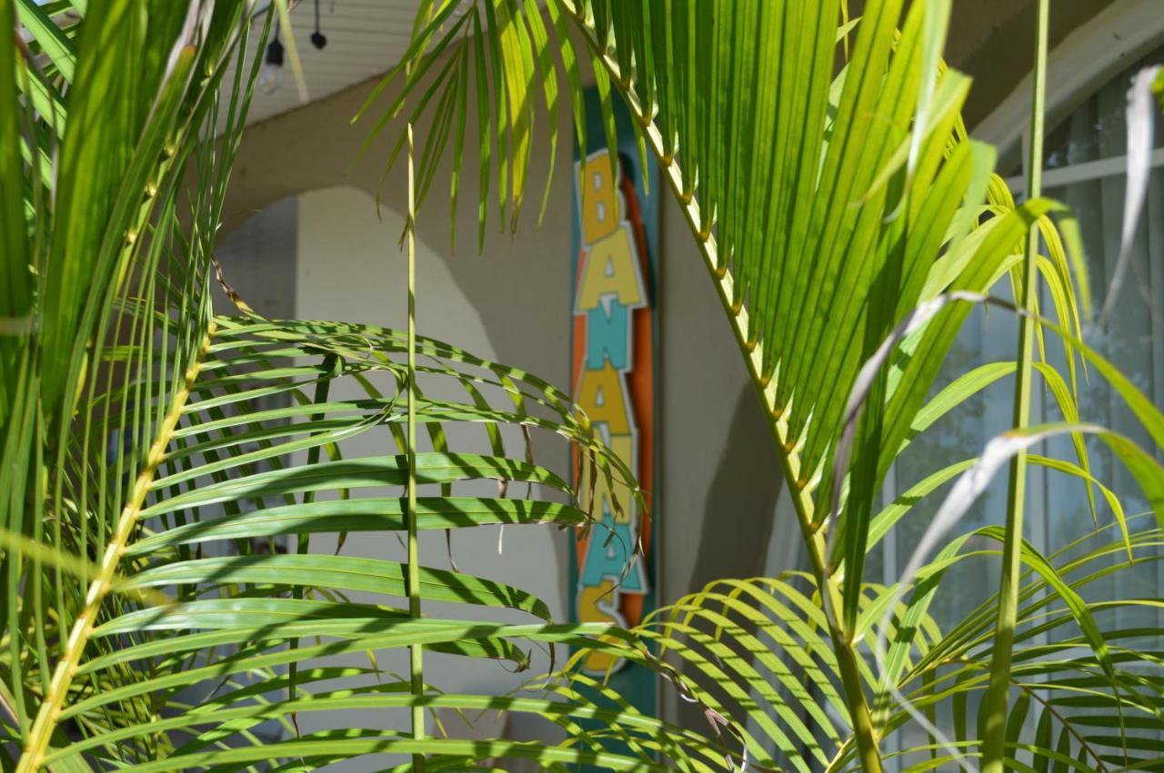 Bananas Apartments Adults Only Palm Beach Eksteriør bilde